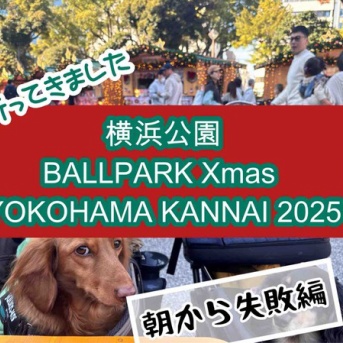 横浜公園に行ってきた。