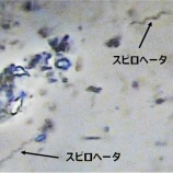 『ニーズの泉(4150回記念)(5)』の画像