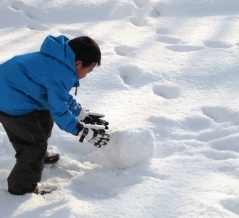 雪しか祭り後継イベント初開催！『世界NOPPEサミット』も！『アオーレ長岡』で『ながおかウィンターフェス2026～雪しか祭り 新章～』開催！2月21日、22日。