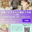 保護うさぎ譲渡会 第32回 保護うさぎさんに逢おうの会in大阪【1/18】