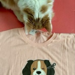 猫だらけ