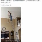 【悲報】高所作業するおじさん、梯子の使い方が上手過ぎて限界突破ｗｗｗｗ