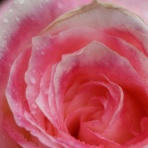 こころのじかん