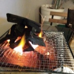 oryzasativa　自転車ウロウロ記