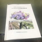 山留坂の花
