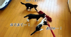 栄っ子たちの討伐