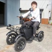 坂も安定の四輪電動車発売 龍昇、女性ユーザー意識 多用途バッグ標準装備、ペット乗車可
