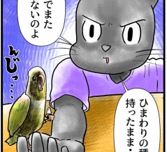 帰宅インコ拒否
