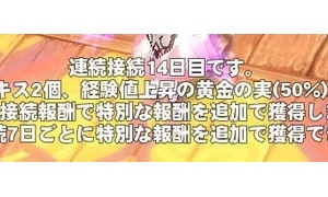 高級オニキス(60日)(取引可能)x5