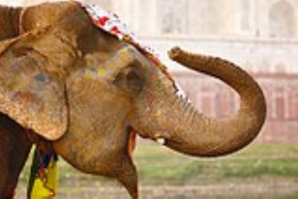 為替王 くりっく365大和証券ダイワ365fx