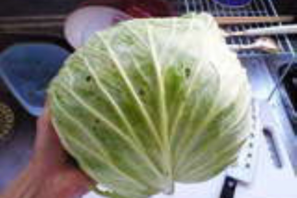 きずなストレート ﾃﾗｷｬﾍﾞﾂ料理