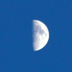 千葉市郊外　緑と花と自然に囲まれて