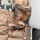 おじさんの休日的な…