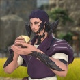 【FF14】7.35で新エモート「緑茶を飲む」が実装に！「正座して緑茶を飲み続ける」コマンドも