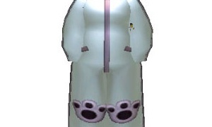 太ましいスペースキャットスーツ