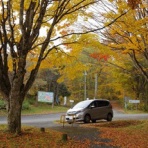 ハイキングさ　あべじゃ