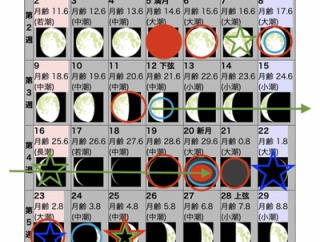 2025年11月の自然観察日