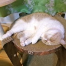 まだまだ警戒中‼