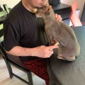 お父さんの髭が大好きジャミちゃん