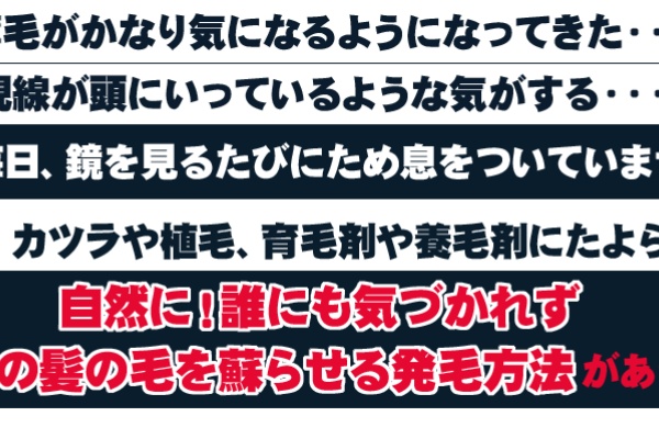 毛髪専門ブログ あなたの髪をふさふさにする