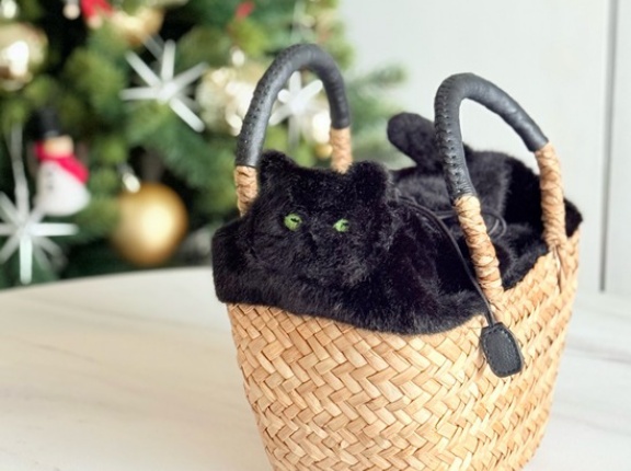 【PR】2.2%が寄付になる！AIM医学研究支援のかわいい冬毛猫カゴバッグでいっしょにお出かけ♪