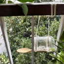 鳥の餌台と、サカモトでのランチ