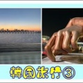 韓国旅行③