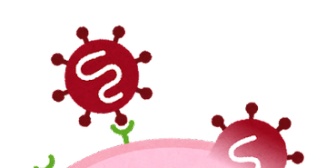 妻がコロナに感染した。平日はテレワークしながら2歳の娘の世話をし、夜は食事の準備や入浴、洗濯もこなしている。大変だけど、頑張るしかない。