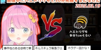【ホロライブ】突如部屋に現れた1匹の小さなクモに悲鳴をあげながら討伐を試みるHR140んなたん