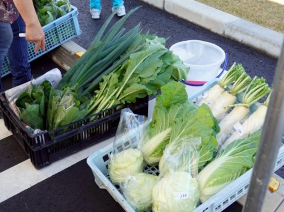 池多で秋の実りを楽しむフェス！『とやまスローライフ・フィールド市民農園祭　里山のくらしフェスin池多』開催。11月8日。