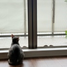 雨の夏休み