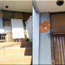 「手打そば にのまえ」_水戸市（嗜好のそば処）