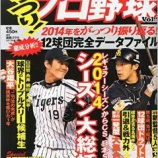 『がっつり!プロ野球 Vol.9』の画像