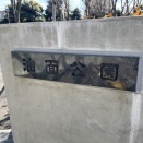 ジンチョウゲを探して４　油面公園