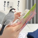拒否される私