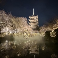 【京都】1ヶ月だけの幻想的な世界　～東寺月回廊