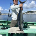 イワシの泳がせ　マグロ　2組