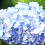 『ガイダンス(234)2024年6月(2)』の画像