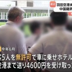 ウメボシ速報