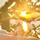 新年のまにまに