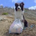 ひろいびと 清掃登山犬達と三重県の山ゴミ拾い清掃活動記録
