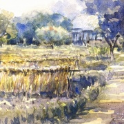 ２０２５年１１月の出来事【スケッチ色々、初めて屋外配信、大口かつみさん・永江弘之先生個展etc.】