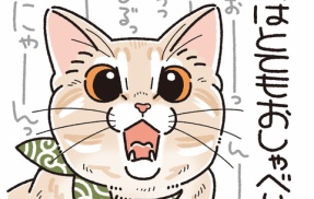 おしゃべりの内容は？