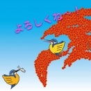 ピラカワ撮影に来られる方々にお願いしますm(__)m