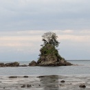道の駅　雨晴から