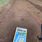 そば彦の菜園日記