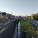 天竺川沿いをお散歩