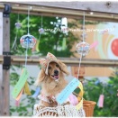 ★真ん中でバッチリ(*^-^*)★