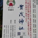 Blondie通信