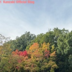 神崎みどり  OFFICIAL  BLOG